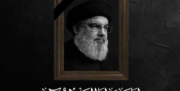عکس شهید رامین ولایتی