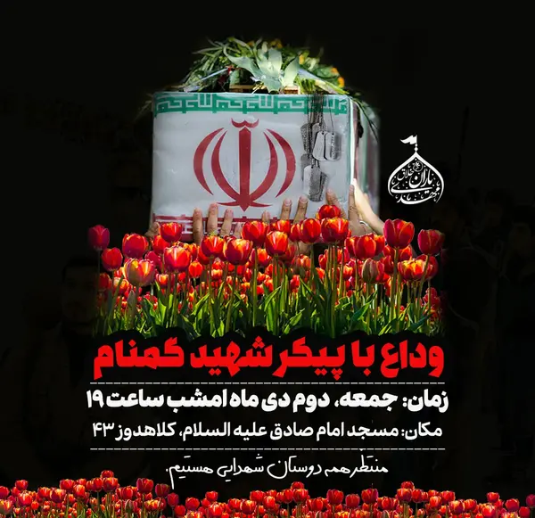 عکس لایه باز شهید گمنام