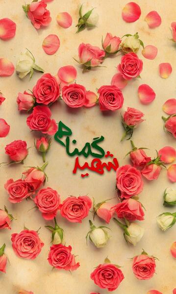 عکس از شهید گمنام