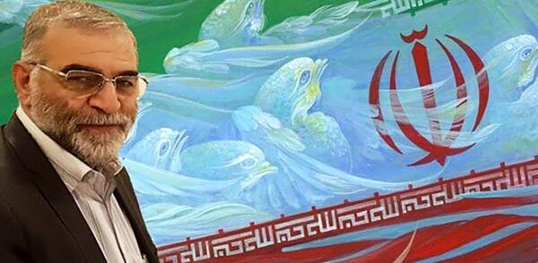 عکس همسر شهید فخری زاده