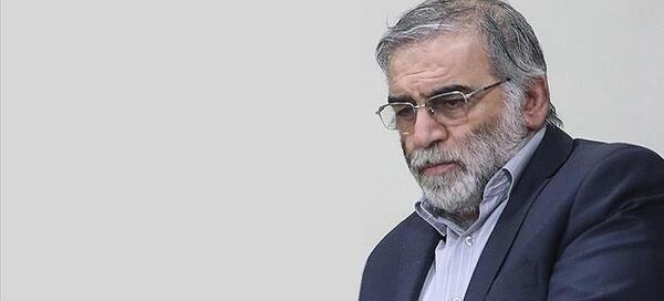 عکس همسر شهید فخری زاده