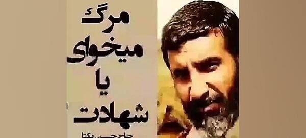 عکس شهید سید مرتضی دادگر از ساری