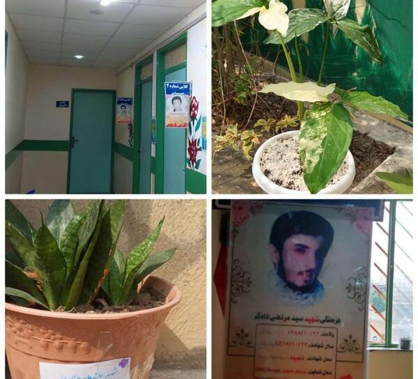 عکس شهید سید مرتضی دادگر از ساری