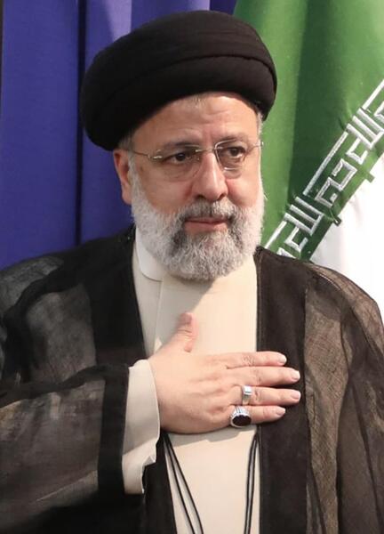 عکس زیبا شهید رئیسی