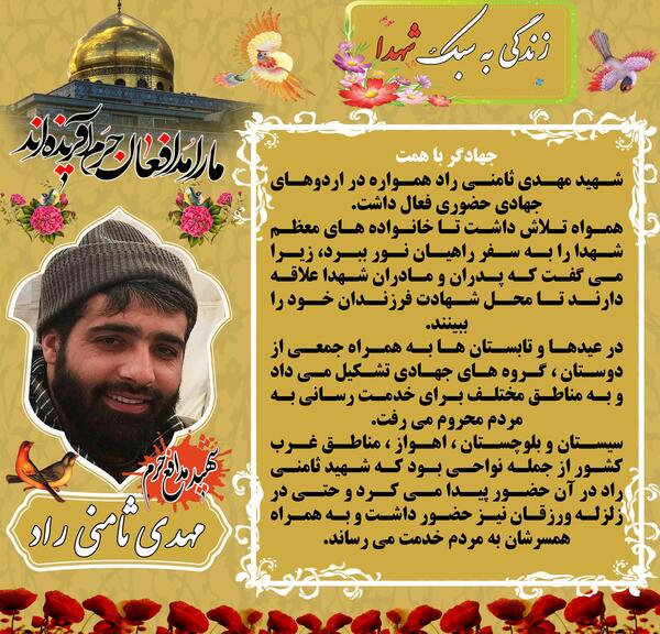 عکس شهید مهدی ثامنی راد