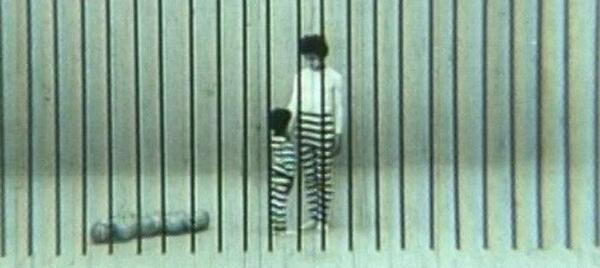 عکس سهراب شهید ثالث