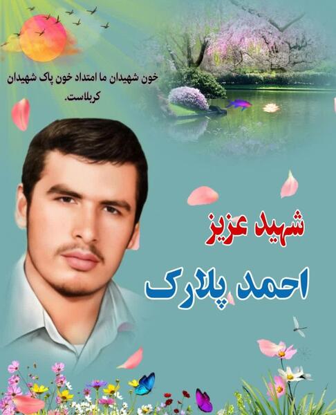 عکس های شهید پلارک