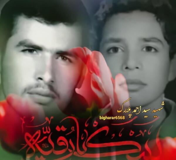 دانلود عکس شهید پلارک