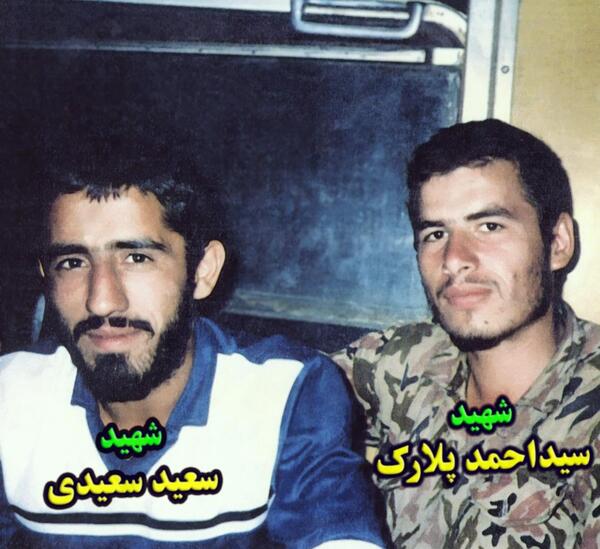 دانلود عکس شهید پلارک