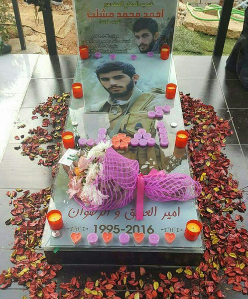 عکس شهید احمد مشلب و خواهرش