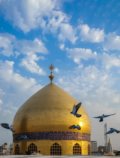 عکس از حرم امام علی