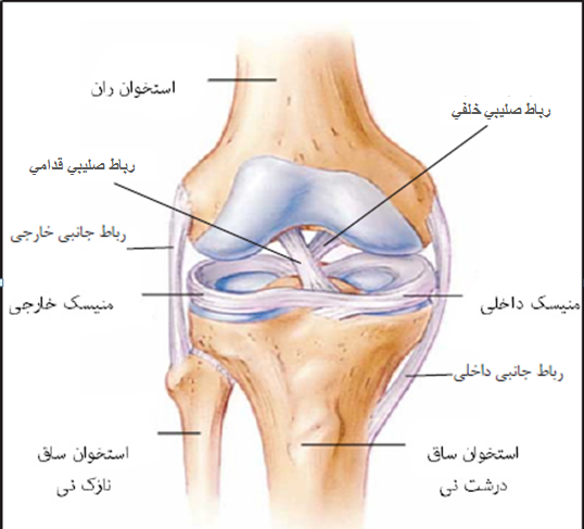 عکس ام ار ای رباط صلیبی پاره
