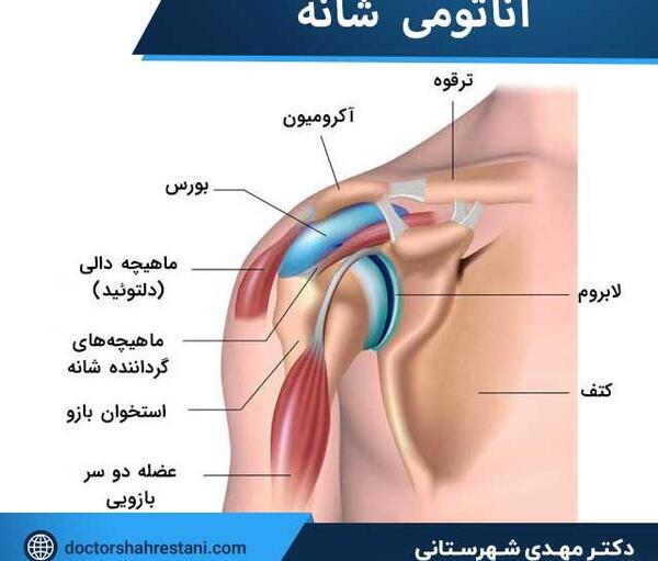 عکس ام آر آی شانه