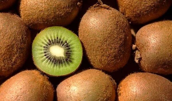 عکس کیوی نصف شده