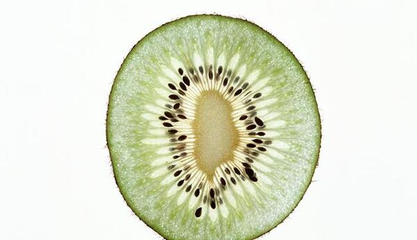 عکس کیوی نصف شده