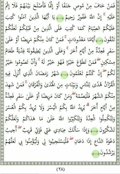 عکس صفحه ویسگون