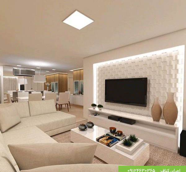 عکس جای تی وی با کناف