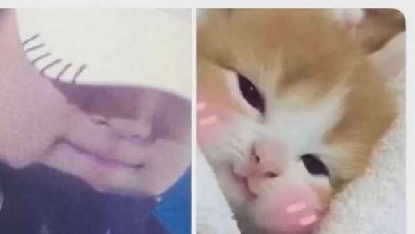 عکس شوگا با گربه