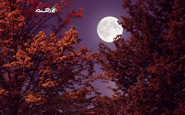 عکس از ماه با گوشی سامسونگ a51