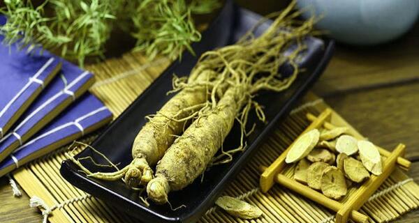 عکس ریشه گیاه جینسینگ