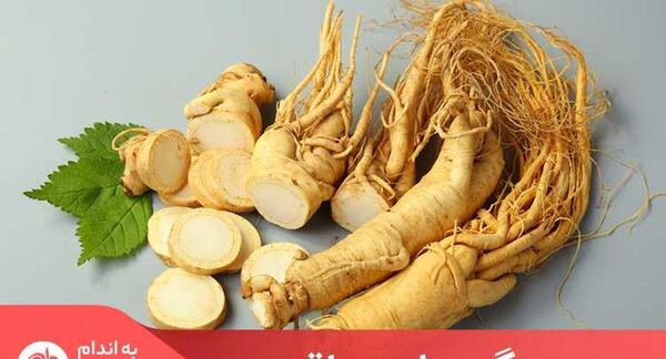 عکس قرص جینسینگ اصل نی نی سایت