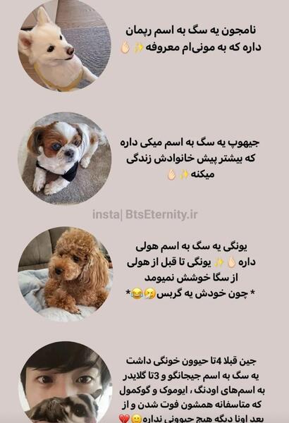 عکس حیوانات اعضای بی تی اس