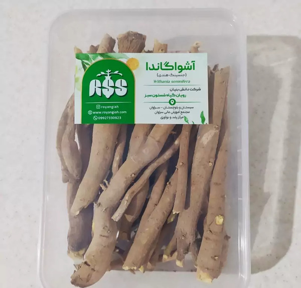 عکس جینسینگ هندی