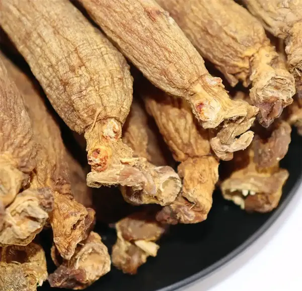 عکس جینسینگ خشک شده