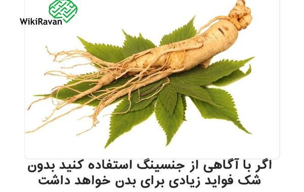 عکس جینسینگ خشک شده