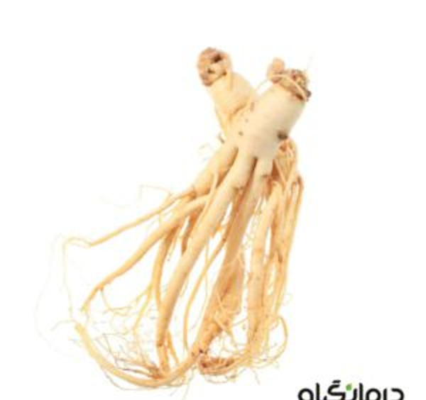 عکس جینسینگ خشک شده