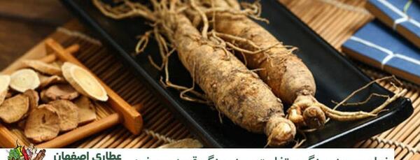 عکس جینسینگ ایرانی