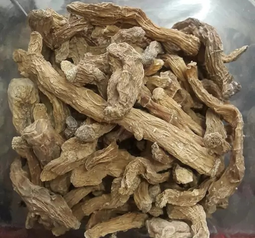عکس جینسینگ ایرانی