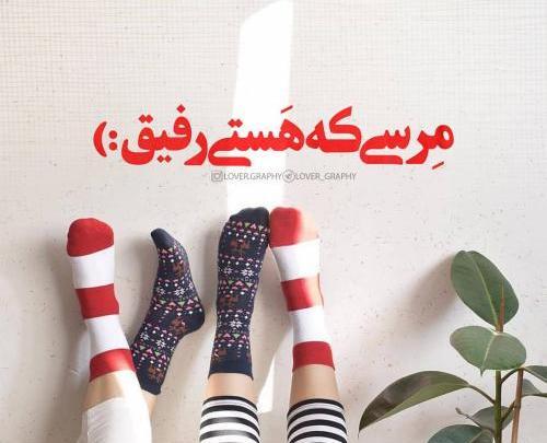 عکس پروفایل جینگولی