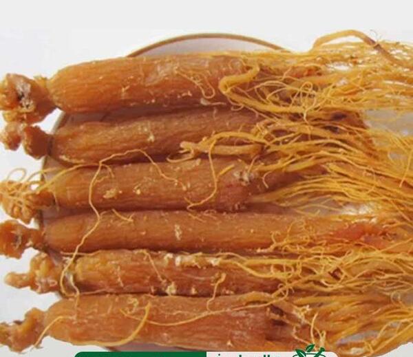 عکس جینسینگ کره ای