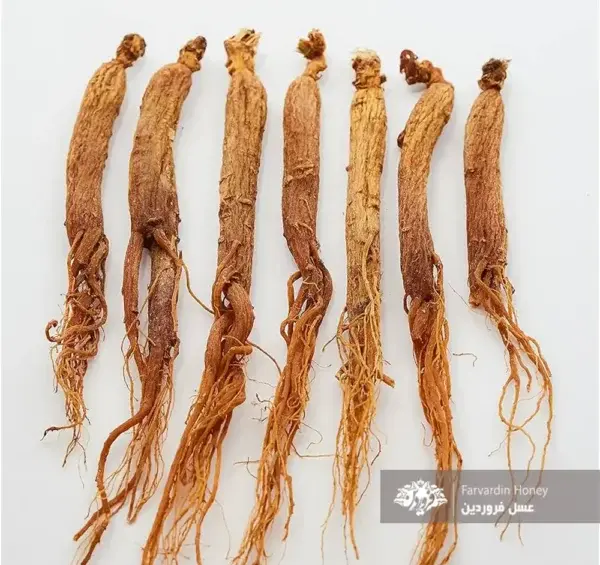 عکس جینسینگ کره ای