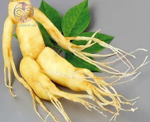 عکس جینسینگ کره ای
