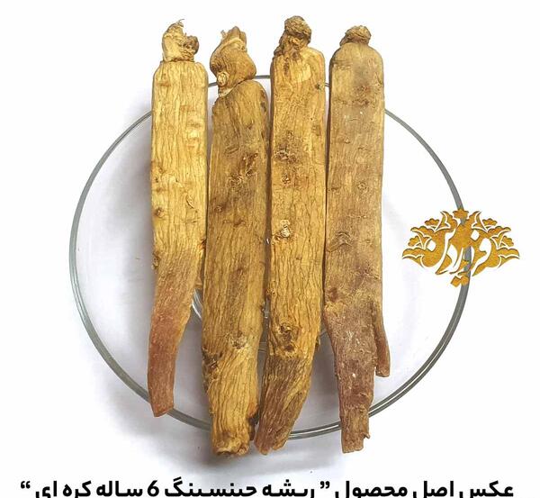 عکس جینسینگ کره ای