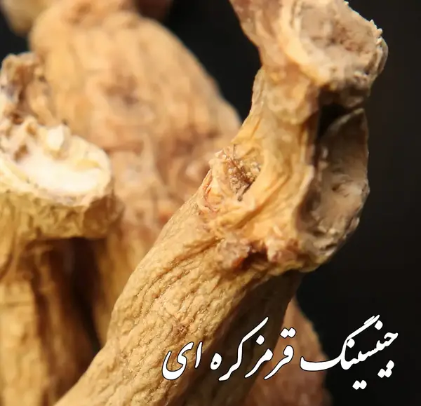 عکس جینسینگ کره ای