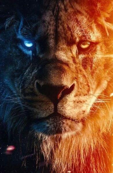 عکس گوشی عکس صفحه گوشی