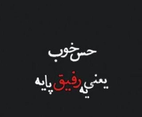 عکس رفقای پایه