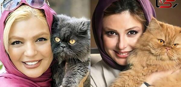 عکس زن گربه ای واقعی