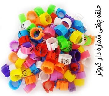 عکس زنگوله کبوتر