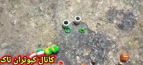 عکس زنگوله کبوتر