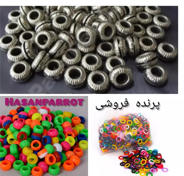 عکس زنگوله کبوتر