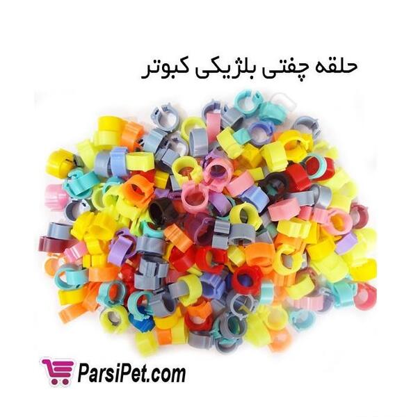 عکس زنگوله کبوتر
