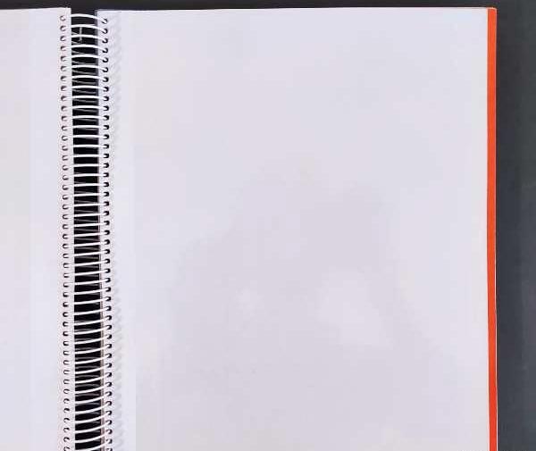 عکس زن گلستان
