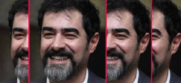 عکس زن شهاب حسینی در گناه فرشته