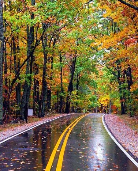 عکس زیبای گوشی