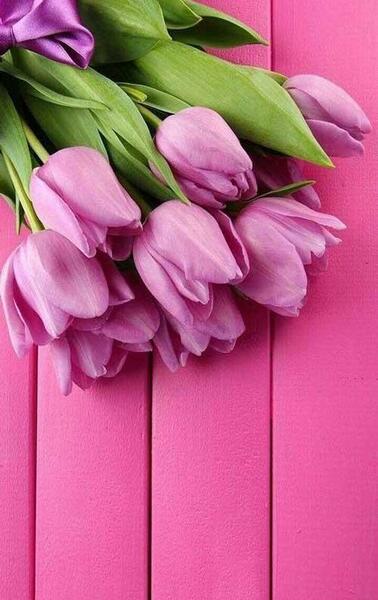 عکس زیبای گوشی