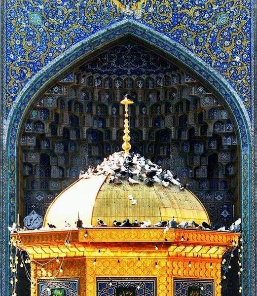 عکس حرم امام رضا با دوربین گوشی
